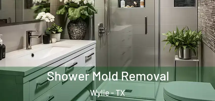 Shower Mold Removal Wylie - TX